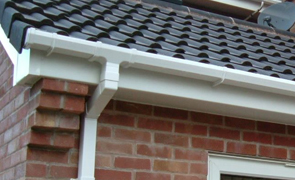 Roof Cleaning in Braunton