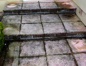 domestic-window-cleaning